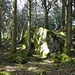 romantische Felsenlandschaft im Wald