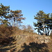Špičák - Nochmaliger Blick auf den Gipfelbereich, der einige "Felsbänke" bietet, auf den man tatsächlich ganz gut sitzen kann.