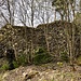 Ruine Dellingen II