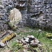 Ruine Dellingen IV