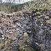 Ruine Dellingen VII
