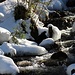 Frühlingsbach..oder eher Spätwinter