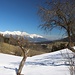 Blick zum Karwendel