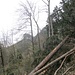 Diese umgestürzten Bäume erforderten etwas Kraxelei
