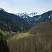 Unterwegs zur Alpe Dosegg. Das Mellental entlang blickt man in Richtung Hoher Freschen.