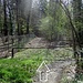 Una volta usciti da Cascina San Giuliano sulla provinciale per Alzate proseguire a sinistra ( come indicano i cartelli ) sulla strada fino a trovare sulla destra questo imbocco ( non segnalato ) che entra nel bosco ... la cartellonistica ufficiale farà la sua ricomparsa nel bosco !