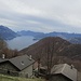 Coslivetta