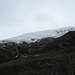 Bregagnino