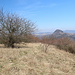 Želenický vrch - Unweit der höchsten Stelle gibt es sogar eine kleine "Liegewiese", die vermutlich aber auch bei der einen oder anderen Zecke beliebt ist.
