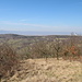 Želenický vrch - Ausblick über eine kleine Freifläche östlich des Gipfels. Hinter dem Kaňkov ist der Erzgebirgskamm zu erkennen.