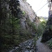 in der Schlucht