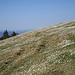 auch hier oben hat der Frühling begonnen