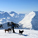 Skitouren im Hochgebirge mit Hunden - erstaunliche Leistung