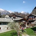 Uschione