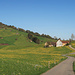 Frühling pur im Appenzellerland