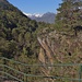 wild park