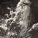 water...