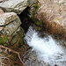 Al Pian Cusello Acqua ovunque........
