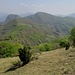 Pizzo Cerro : panorama