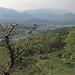 Lo splendido panorama sul Malcantone e il luganese oggi è un po' velato...