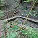 Ein Holzsteg führt ins steile Gebiet hinein