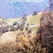 Alpe e Sella Cavazza