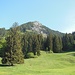 Blick vom Parkplatz der Alpe Weiherle zum kecken Burgberger Hörnle