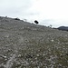 am Monte Rinsaturo
