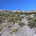 Im Aufstieg zur Peña Trevinca - Hin und wieder gibt es felsige Stellen. Rechts der Bildmitte erahnt man ein Steinmännchen. Wir sind also nicht komplett falsch ;-).