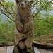scendendo verso Gandria : scultura nel legno