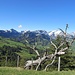 ..bietet einen schönen Einblick in den Alpstein