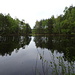 Moorsee