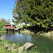 Privatteich kurz vor dem Sunthausener See
