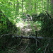 für Mountainbiker vorübergehend geschlossen