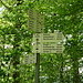 die letzten 5 km