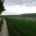 Geisingen in Sicht
