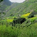 Monte Molinasco : panorama su Palazzo e sugli splendidi prati fioriti di tarassasco