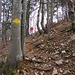 Gemütlicher Wanderweg über den Schatteberg.