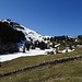 eine lange, kunstvolle Trockensteinmauer vor den Alphütten Lenziwis;
Schneerutsche oberhalb Leui
