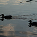 Wenig Betrieb auf dem See