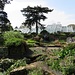 Il Rock Garden, dove si trovano le specie alpine, davanti al Princess of Wales Conservatory.
