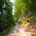 toller Weg