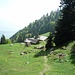 Alp Rohr