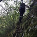 Sulle cenge dove passano gli animali