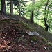 Basamento costruito ad uno degli estremi della mulattiera che porta al Rio Faella. Forse da qui partiva una teleferica.