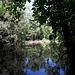 <b>Stagno di Genestrerio, sotto la tutela del WWF.</b>