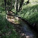 <b>Il Laveggio nascente.</b>