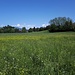 <b>Sguardo verso La Prella (381 m).</b>