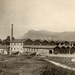 <b>Le Fornaci di Boscherina, edificate nel 1870 e abbattute nel 1989.<br />Al suo interno si producevano diverse qualità di laterizi e oggetti artistici utilizzando l'argilla proveniente dalla cava situata in prossimità dello stabilimento.<br />Nei periodi propizi la fornace di Boscherina riusciva ad occupare oltre un centinaio di lavoratori.</b>