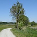 im Hintergrund die Waldhügel um den "Zigeunerberg"-ein Berg ist das allerdings nicht!